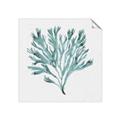 Picture of Teal Coral II  _GroupedProduct_Square_Unframed_Print_Only_