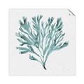 Picture of Teal Coral II  _GroupedProduct_Square_Unframed_Print_Only_