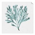 Picture of Teal Coral II  _GroupedProduct_Square_Unframed_Print_Only_