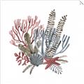 Picture of Ocean Coral l _GroupedProduct_Square_Unframed_Print_Only_