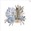 Picture of Ocean Coral ll _GroupedProduct_Square_Unframed_Print_Only_