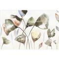 Picture of Swift Ginko I  _GroupedProduct_Rectangle_Landscape_Unframed_Print_Only_
