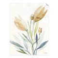 Picture of Soft Tulips  I _GroupedProduct_Rectangle_Portrait_Unframed_Print_Only_