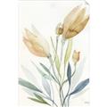 Picture of Soft Tulips  I _GroupedProduct_Rectangle_Portrait_Unframed_Print_Only_