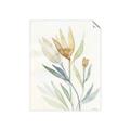 Picture of Soft Tulips II _GroupedProduct_Rectangle_Portrait_Unframed_Print_Only_