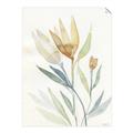 Picture of Soft Tulips II _GroupedProduct_Rectangle_Portrait_Unframed_Print_Only_