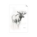 Picture of Moose Charcoal _GroupedProduct_Rectangle_Portrait_Unframed_Print_Only_