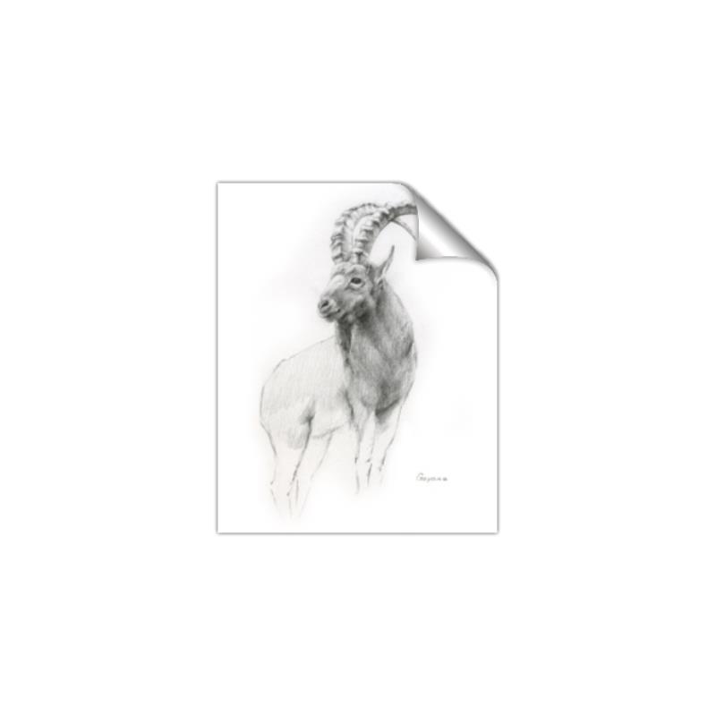 Picture of Ram Charcoal _GroupedProduct_Rectangle_Portrait_Unframed_Print_Only_