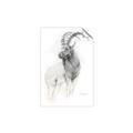 Picture of Ram Charcoal _GroupedProduct_Rectangle_Portrait_Unframed_Print_Only_