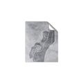 Picture of Hold a Pose Gray _GroupedProduct_Rectangle_Portrait_Unframed_Print_Only_