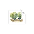 Picture of Splashed Cactus I  _GroupedProduct_Rectangle_Landscape_Unframed_Print_Only_