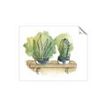 Picture of Splashed Cactus I  _GroupedProduct_Rectangle_Landscape_Unframed_Print_Only_