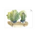 Picture of Splashed Cactus I  _GroupedProduct_Rectangle_Landscape_Unframed_Print_Only_