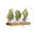 Picture of Splashed Cactus II  _GroupedProduct_Rectangle_Landscape_Unframed_Print_Only_