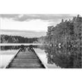 Picture of Waiting at the dock  _GroupedProduct_Rectangle_Landscape_Photography _GroupedProduct_Rectangle_Landscape_Unframed_Print_Only_