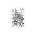 Picture of Sketched Flower II  _GroupedProduct_Rectangle_Portrait_Unframed_Print_Only_