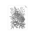 Picture of Sketched Flower II  _GroupedProduct_Rectangle_Portrait_Unframed_Print_Only_