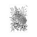 Picture of Sketched Flower II  _GroupedProduct_Rectangle_Portrait_Unframed_Print_Only_