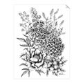 Picture of Sketched Flower II  _GroupedProduct_Rectangle_Portrait_Unframed_Print_Only_