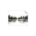 Picture of Misty Forest Black  _GroupedProduct_Rectangle_Landscape_Unframed_Print_Only_