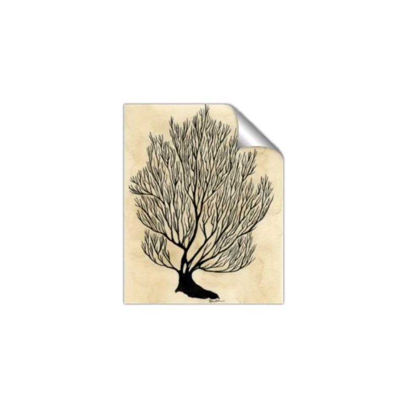 Picture of Neutral Coral I  _GroupedProduct_Rectangle_Portrait_Unframed_Print_Only_