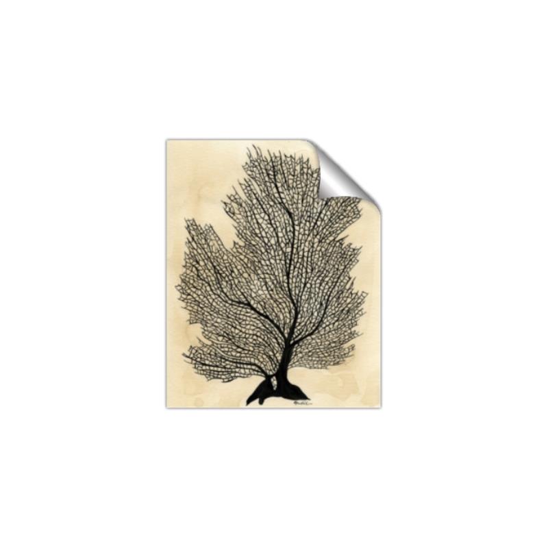 Picture of Neutral Coral II  _GroupedProduct_Rectangle_Portrait_Unframed_Print_Only_