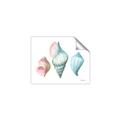 Picture of Seashells I  _GroupedProduct_Rectangle_Landscape_Unframed_Print_Only_