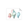 Picture of Seashells I  _GroupedProduct_Rectangle_Landscape_Unframed_Print_Only_