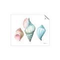 Picture of Seashells I  _GroupedProduct_Rectangle_Landscape_Unframed_Print_Only_