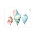 Picture of Seashells I  _GroupedProduct_Rectangle_Landscape_Unframed_Print_Only_