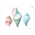 Picture of Seashells I  _GroupedProduct_Rectangle_Landscape_Unframed_Print_Only_