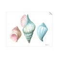 Picture of Seashells I  _GroupedProduct_Rectangle_Landscape_Unframed_Print_Only_