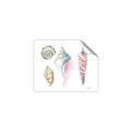 Picture of Seashells II  _GroupedProduct_Rectangle_Landscape_Unframed_Print_Only_
