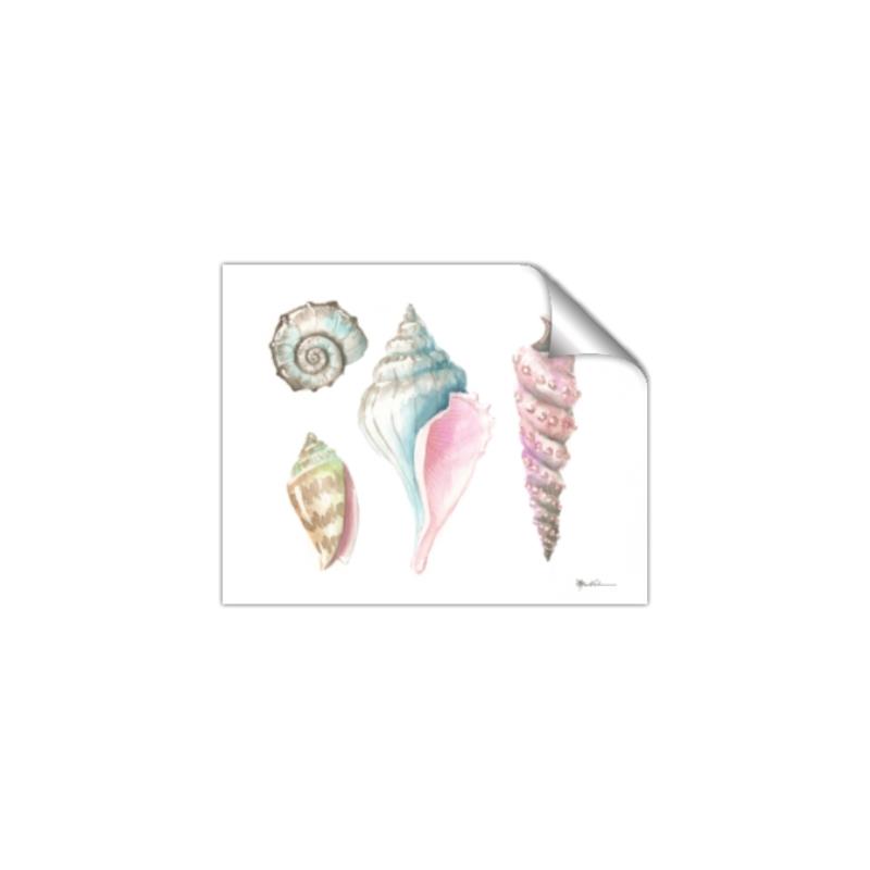 Picture of Seashells II  _GroupedProduct_Rectangle_Landscape_Unframed_Print_Only_