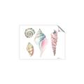 Picture of Seashells II  _GroupedProduct_Rectangle_Landscape_Unframed_Print_Only_