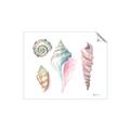 Picture of Seashells II  _GroupedProduct_Rectangle_Landscape_Unframed_Print_Only_