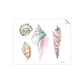 Picture of Seashells II  _GroupedProduct_Rectangle_Landscape_Unframed_Print_Only_