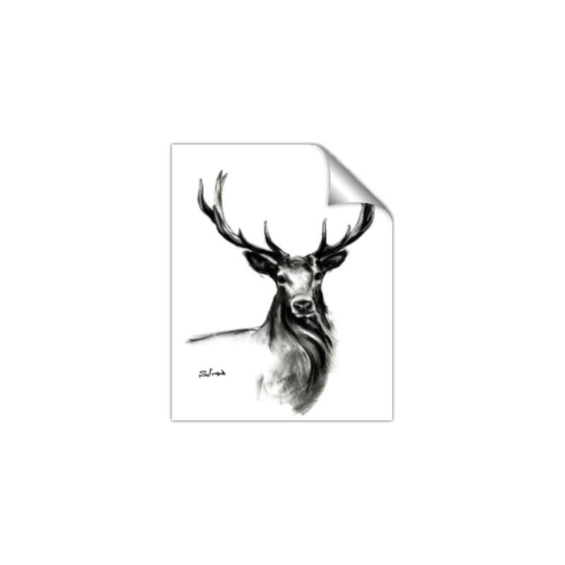 Picture of Sketched Deer  _GroupedProduct_Rectangle_Portrait_Unframed_Print_Only_