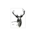 Picture of Sketched Deer  _GroupedProduct_Rectangle_Portrait_Unframed_Print_Only_
