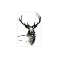 Picture of Sketched Deer  _GroupedProduct_Rectangle_Portrait_Unframed_Print_Only_