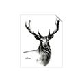 Picture of Sketched Deer  _GroupedProduct_Rectangle_Portrait_Unframed_Print_Only_