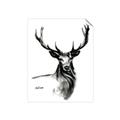 Picture of Sketched Deer  _GroupedProduct_Rectangle_Portrait_Unframed_Print_Only_