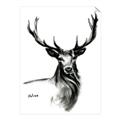 Picture of Sketched Deer  _GroupedProduct_Rectangle_Portrait_Unframed_Print_Only_