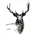Picture of Sketched Deer  _GroupedProduct_Rectangle_Portrait_Unframed_Print_Only_