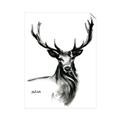 Picture of Sketched Deer  _GroupedProduct_Rectangle_Portrait_Unframed_Print_Only_