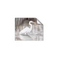 Picture of Wading Egret _GroupedProduct_Rectangle_Landscape_Unframed_Print_Only_