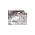 Picture of Wading Egret _GroupedProduct_Rectangle_Landscape_Unframed_Print_Only_