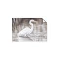 Picture of Wading Egret _GroupedProduct_Rectangle_Landscape_Unframed_Print_Only_