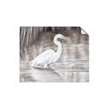 Picture of Wading Egret _GroupedProduct_Rectangle_Landscape_Unframed_Print_Only_