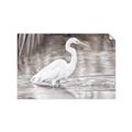 Picture of Wading Egret _GroupedProduct_Rectangle_Landscape_Unframed_Print_Only_